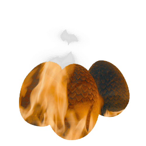 house of the dragon burning eggs doodle