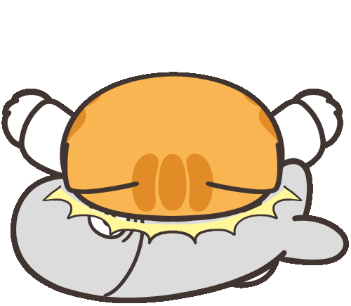 lan lan cat karate doodle