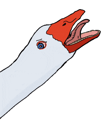 angry goose meme doodle