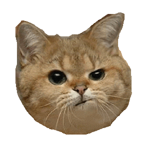 funny grumpy cat doodle