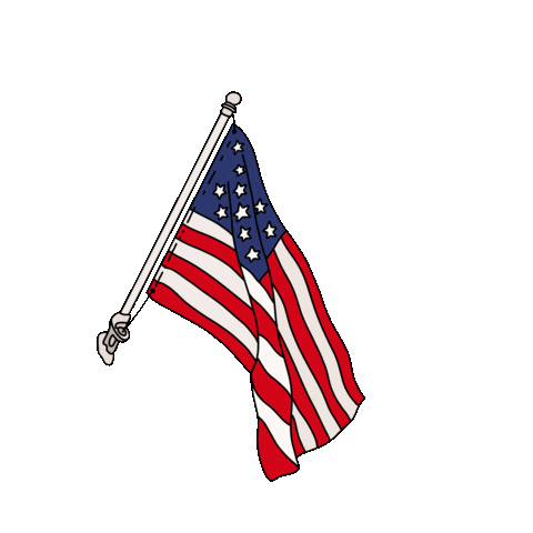 american flag independence day doodle