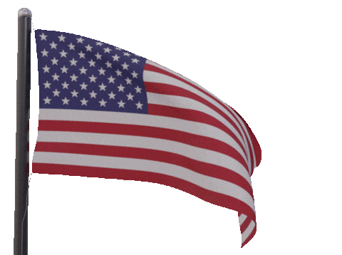 american flag waving doodle