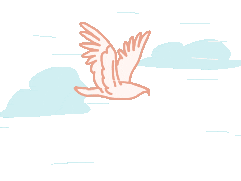 astel flying dove clouds doodle