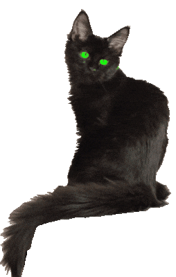 black cat with green eyes doodle