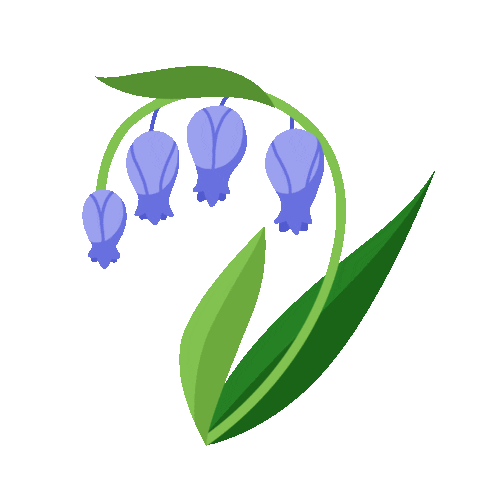 bluebell flowers doodle