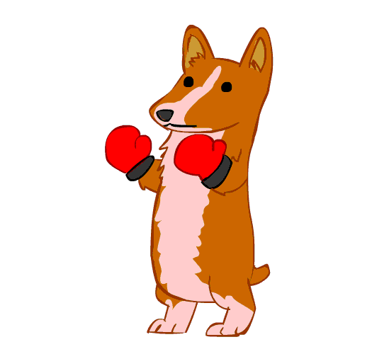 boxing corgi doodle