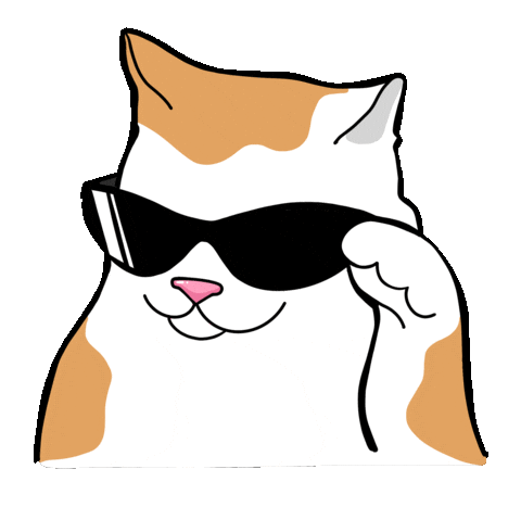 cat in sunglasses doodle