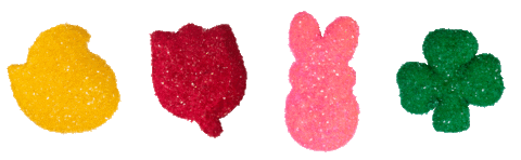 colorful sugar cookie doodle