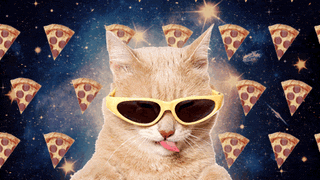 cool cat & pizza doodle