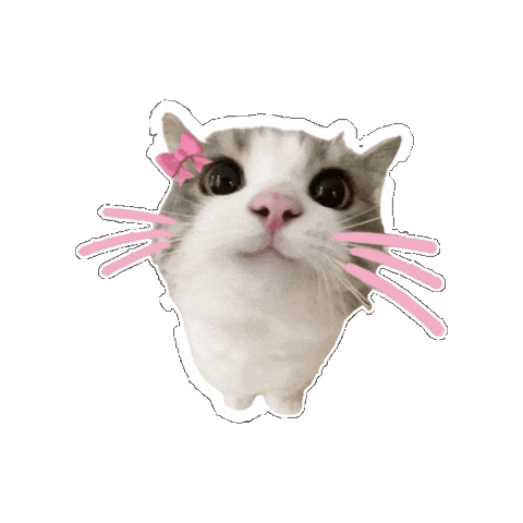 cute cat pink bow whiskers kawaii doodle