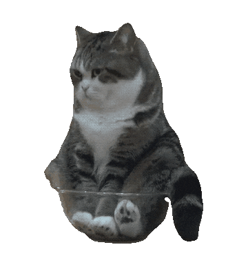 cute cat sitting in glass bowl funny doodle