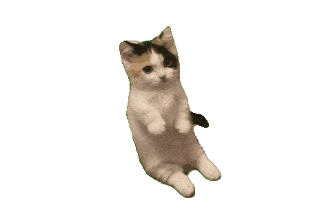 cute munchkin kitten fight doodle