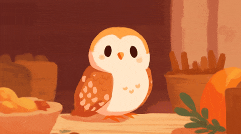 cute owl blink doodle