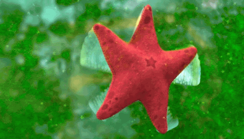 cute sea star doodle