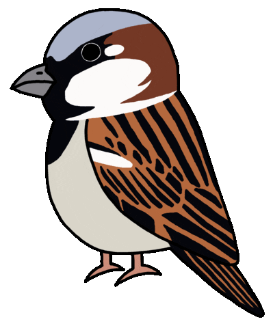 cute sparrow chirping doodle