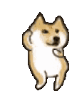 dancing shiba inu meme doodle