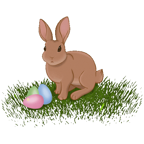 easter bunny in grass with eggs doodle