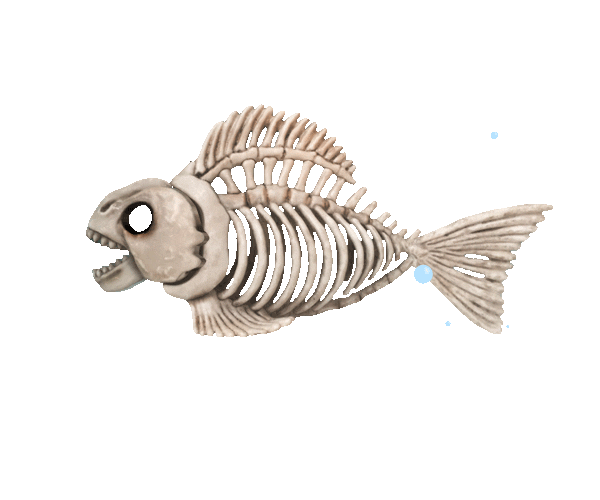 fish skeleton doodle