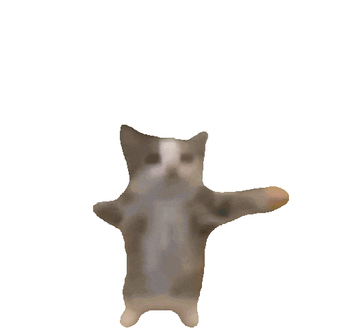 funny dancing cat meme doodle