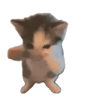 funny dancing kitten doodle