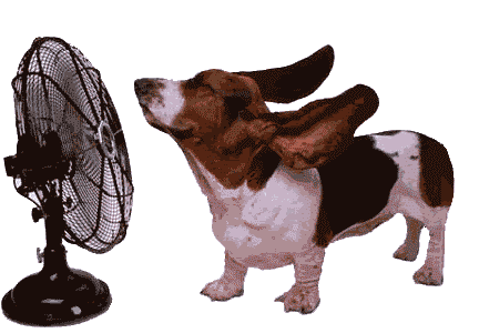 funny dog with air conditioner doodle