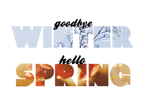 goodbye winter hello spring doodle