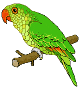 green parrot perched on branch pixel doodle