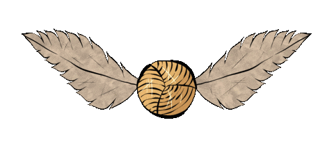 harry potter golden snitch flying doodle