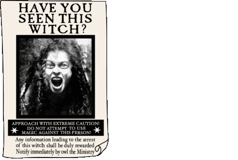 harry potter have you seen this witch poster doodle