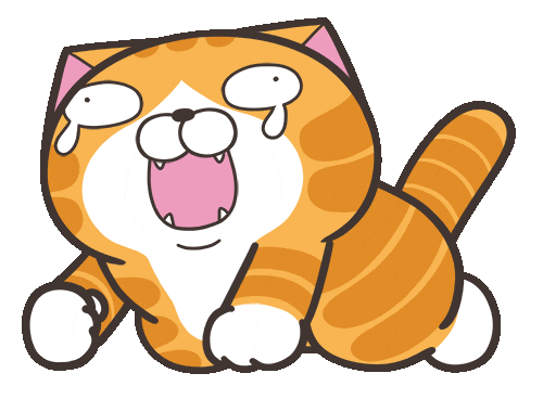 lan lan cat laughing doodle