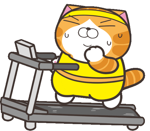 lan lan cat treadmill workout doodle