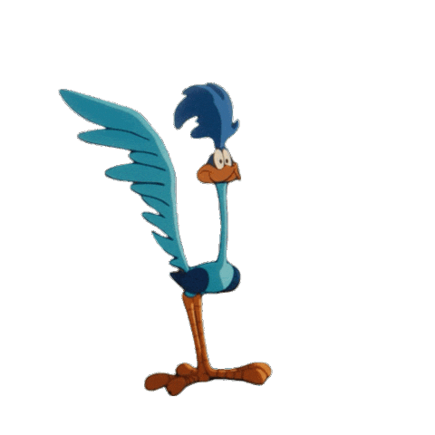 looney tunes road runner doodle