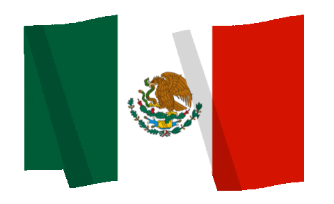 mexico flag waving doodle