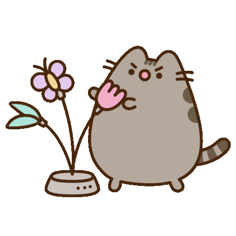 pusheen cat flower butterfly cute doodle