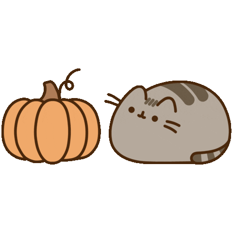 pusheen cat pumpkin halloween doodle