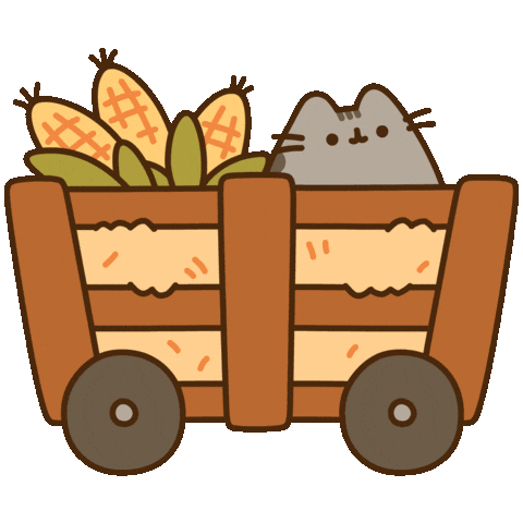 pusheen corn maze doodle