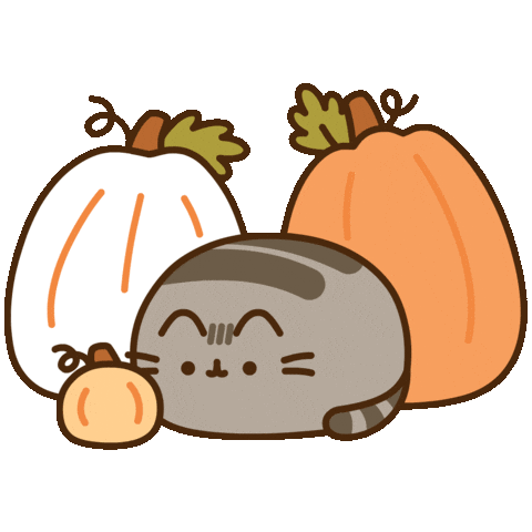 pusheen with pumpkins doodle