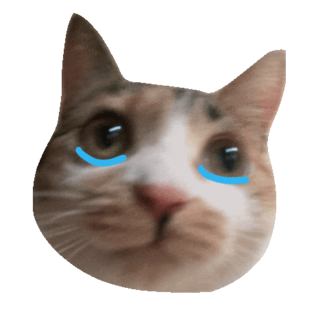 sad crying cat meme doodle