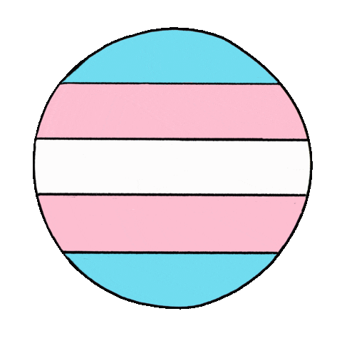 transgender pride flag lgbtq doodle