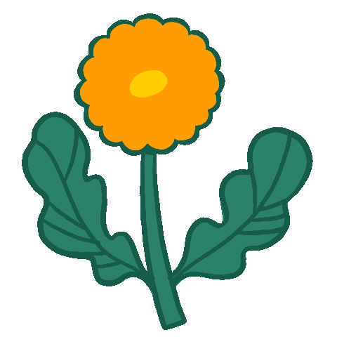 ute yellow dandelion flower doodle