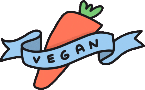 vegan carrot doodle