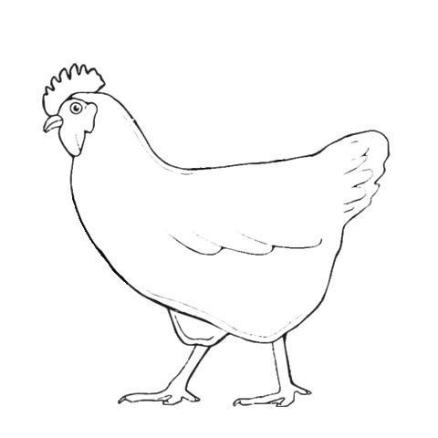 walking chicken line art doodle