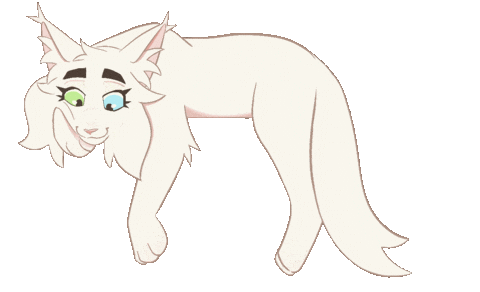 warrior cats whitewing doodle
