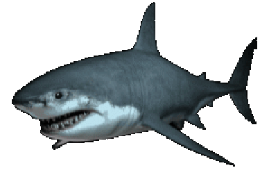 white shark swims doodle