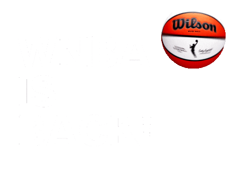 wnba is back doodle