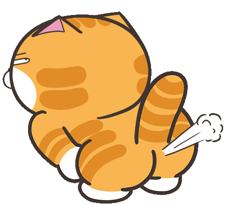 lan lan cat fart meme doodle