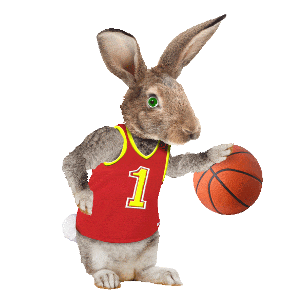bunny with basketball doodle