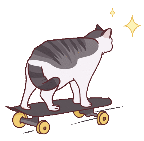 cat skateboarding doodle