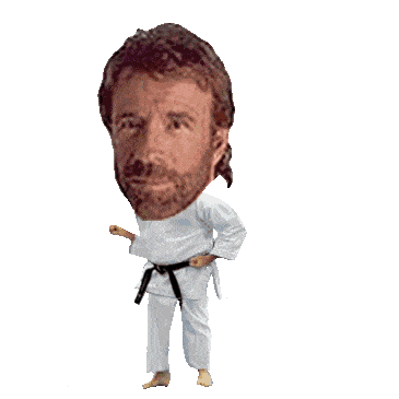 chuck norris karate meme doodle