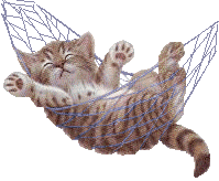 cute sleeping kitten in hammock doodle